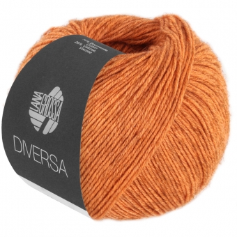 Diversa Lana Grossa 21 Orange